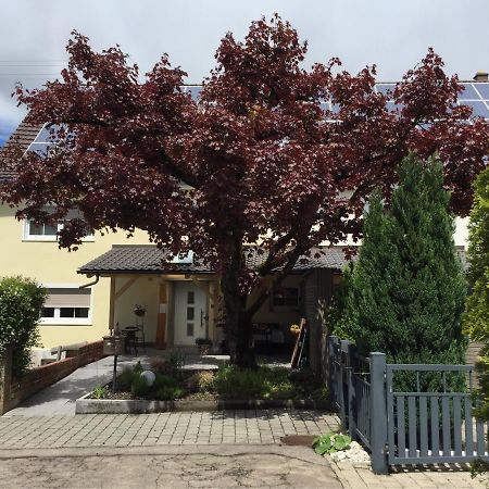 Apartmentvermietung Ingrid Bolkart - Voehlino 2 Іллертіссен Екстер'єр фото